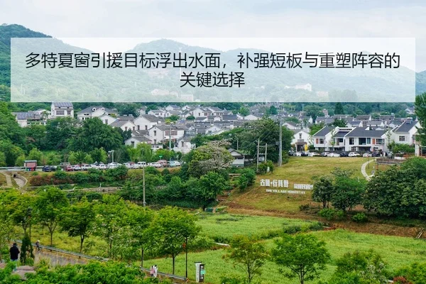 多特夏窗引援目标浮出水面，补强短板与重塑阵容的关键选择